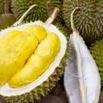 Davao’s Durian Delights: Unveiling the King of Fruits