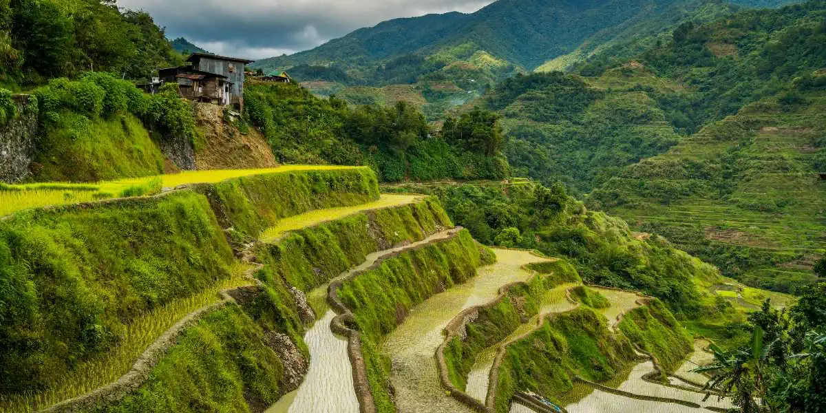 Philippines Banaue Rice Terraces